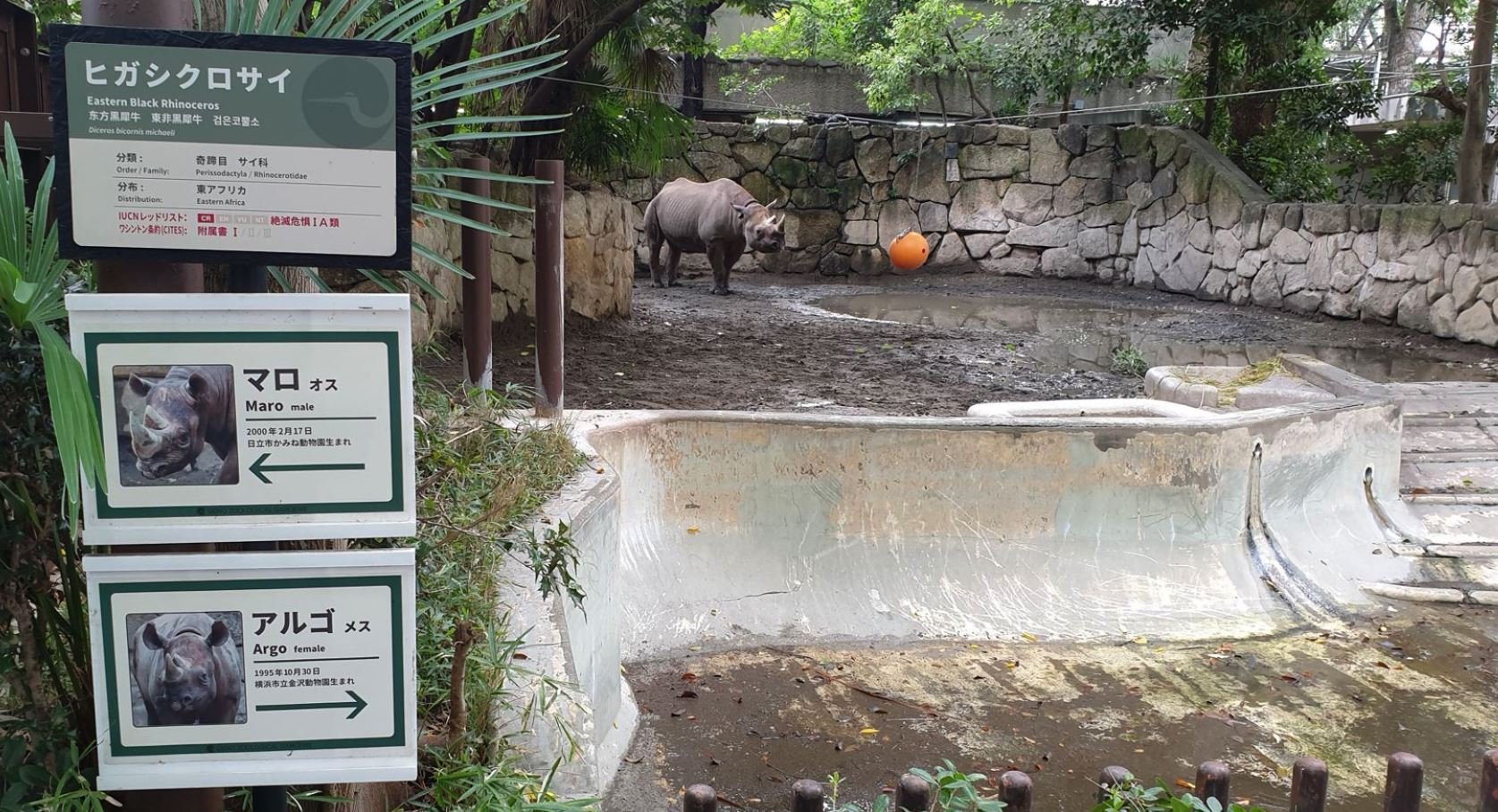 🐼 우에노 동물원 (恩賜上野動物園) 이미지 5